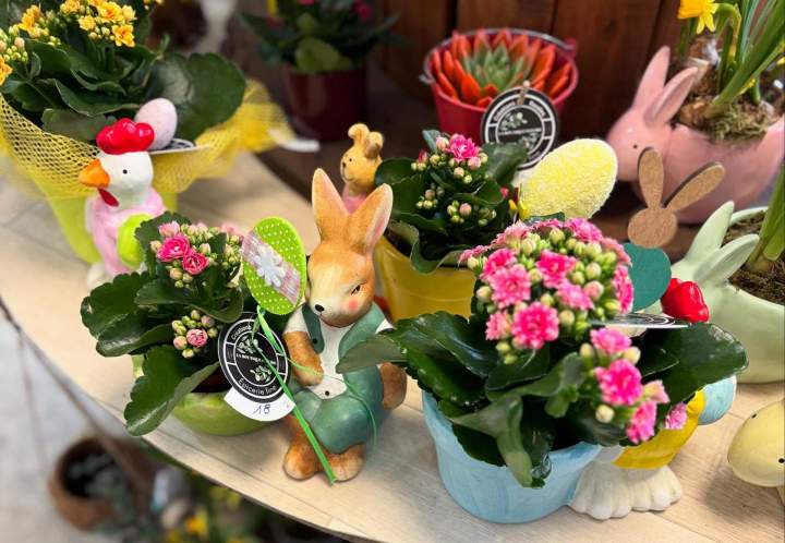 Fleurs artificielles Blanzy