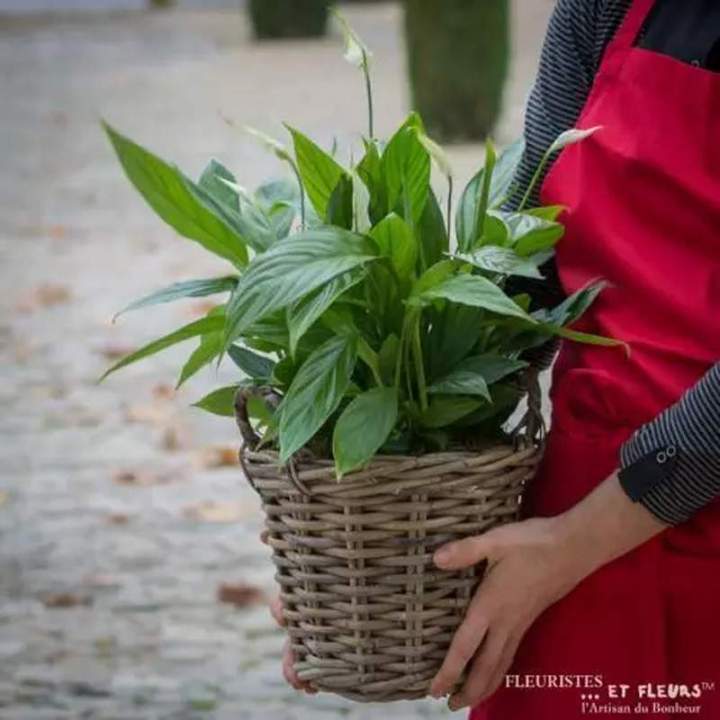 Bienveillante Nature