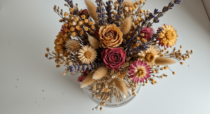 Fleurs séchées, Blanzy